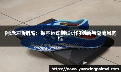 关键词4