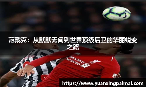 范戴克：从默默无闻到世界顶级后卫的华丽蜕变之路